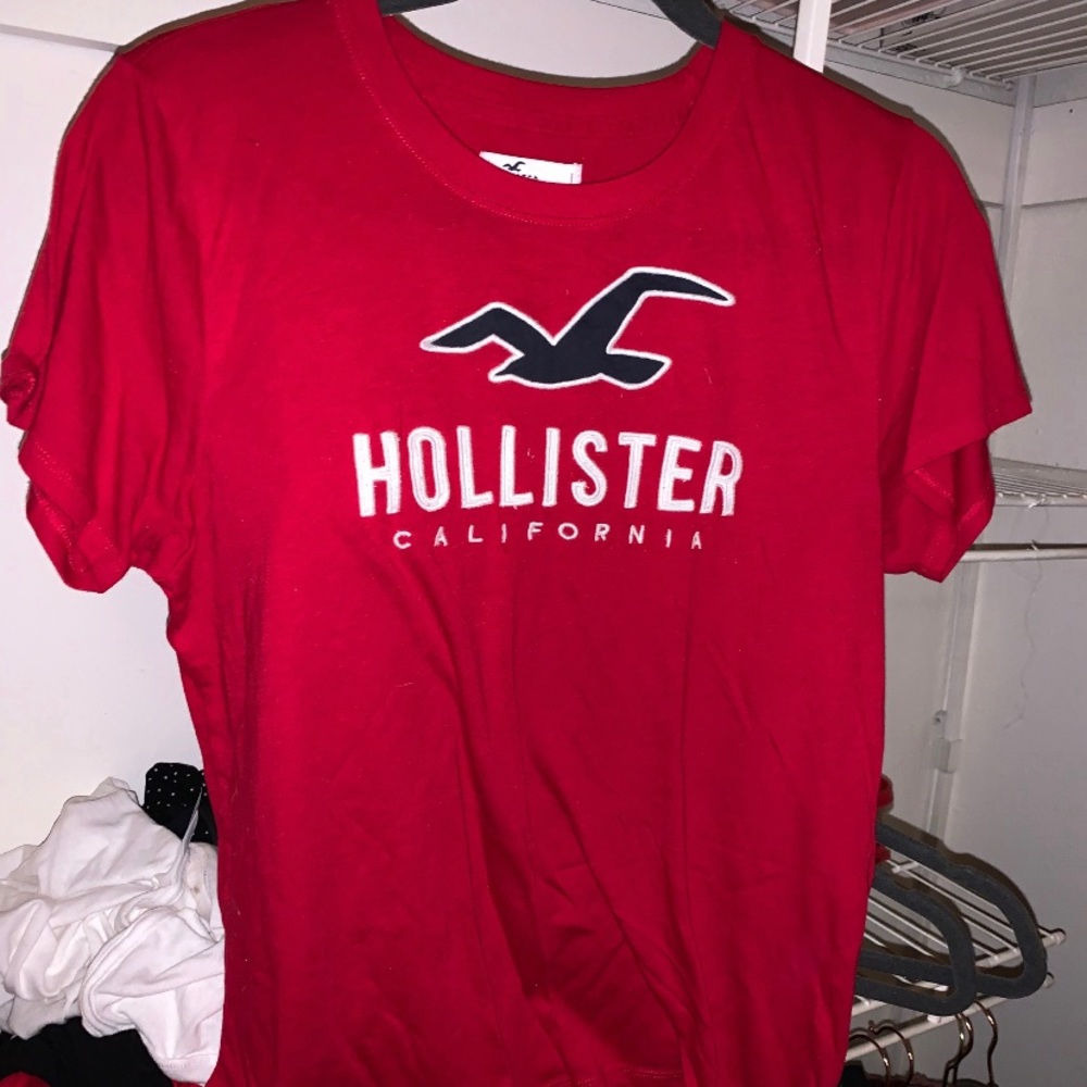 hollister tee
